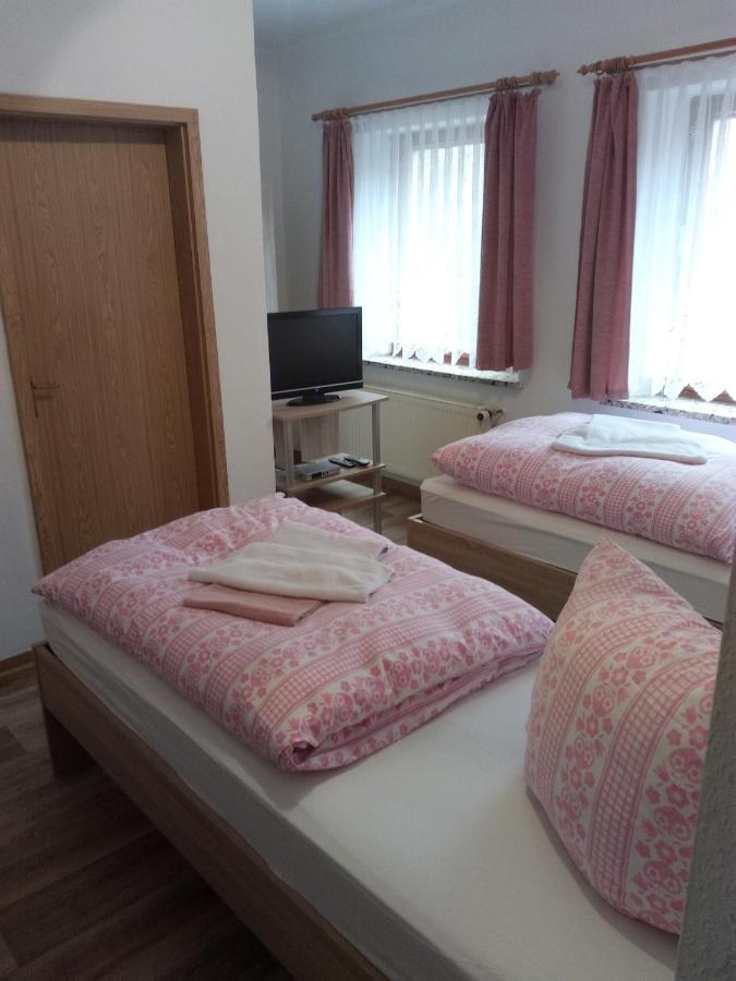 Am Muehlteich Hotel Taltitz Buitenkant foto