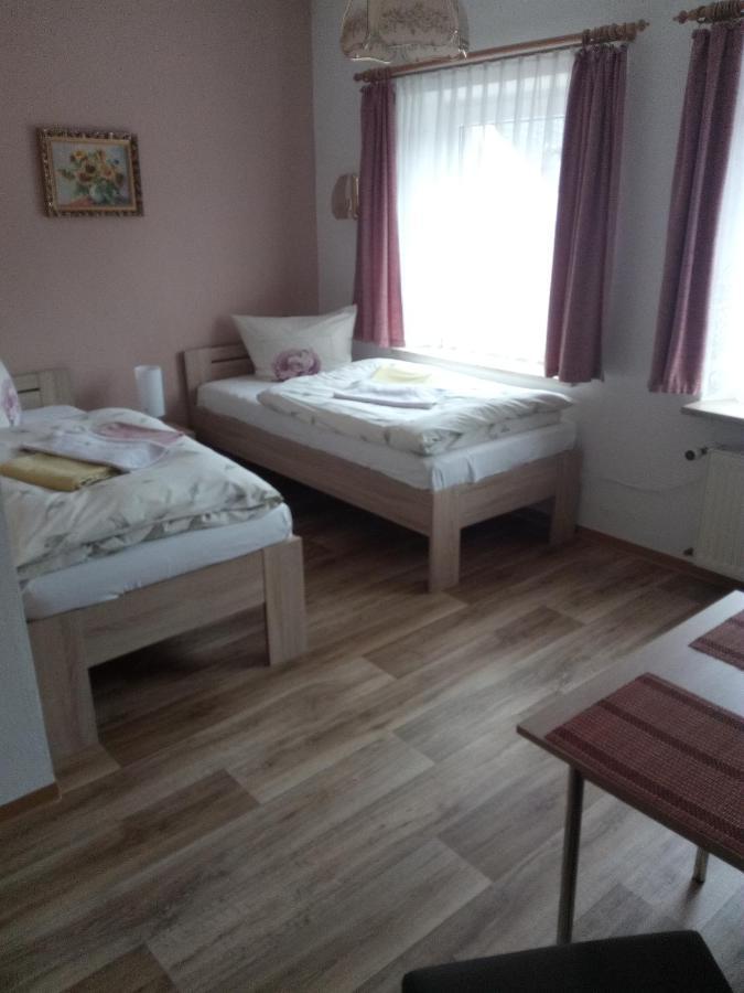 Am Muehlteich Hotel Taltitz Buitenkant foto